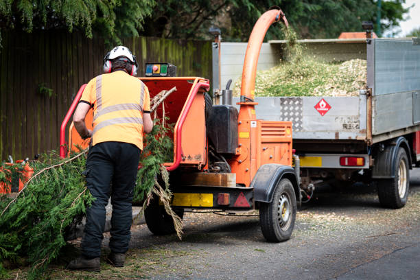 Mulching Services in Richardson, TX