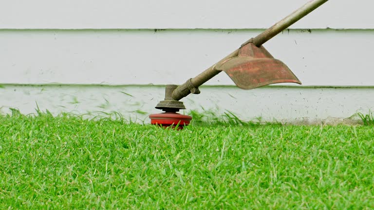 Best Lawn Renovation and Restoration  in Richardson, TX